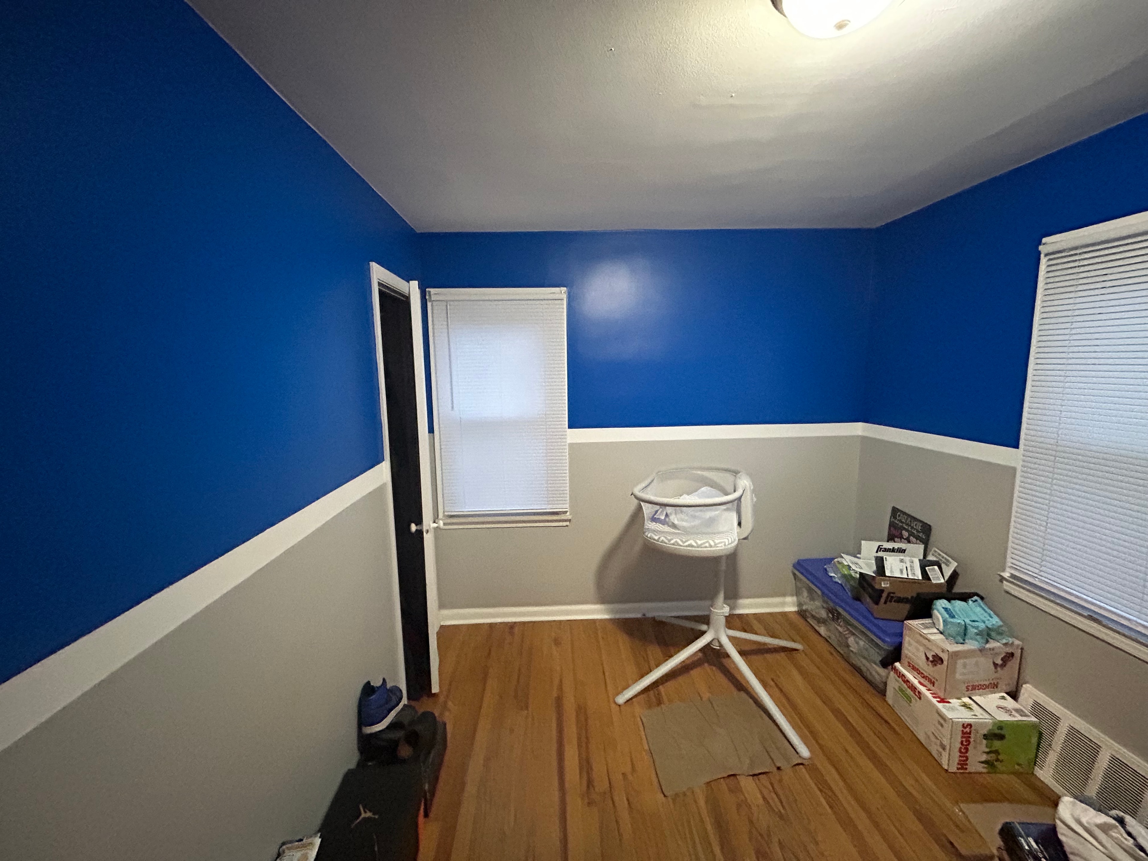 Lions themed -Residential Bedroom